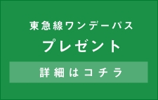 東急線ワンデーパス