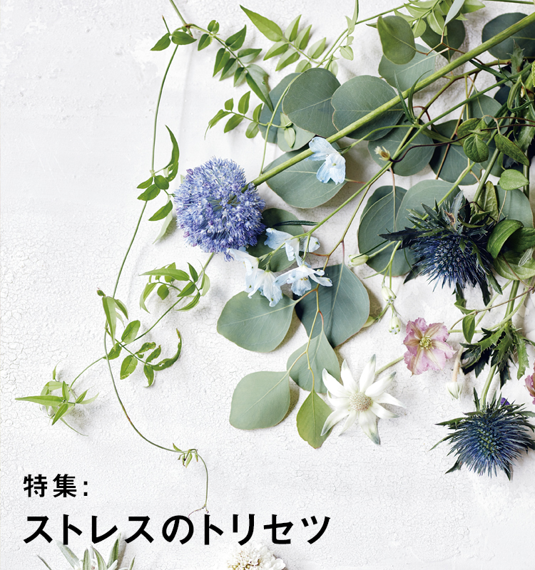 特集