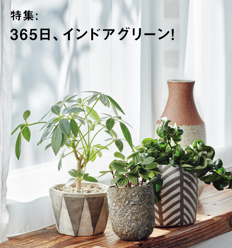 特集