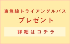 東急線トライアングルパスプレゼント